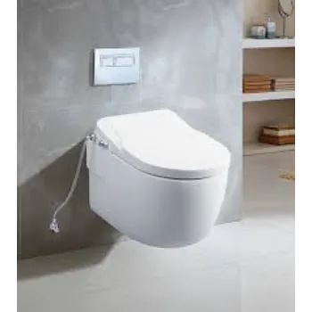 wall hung toilet1-3704433-73277.webp